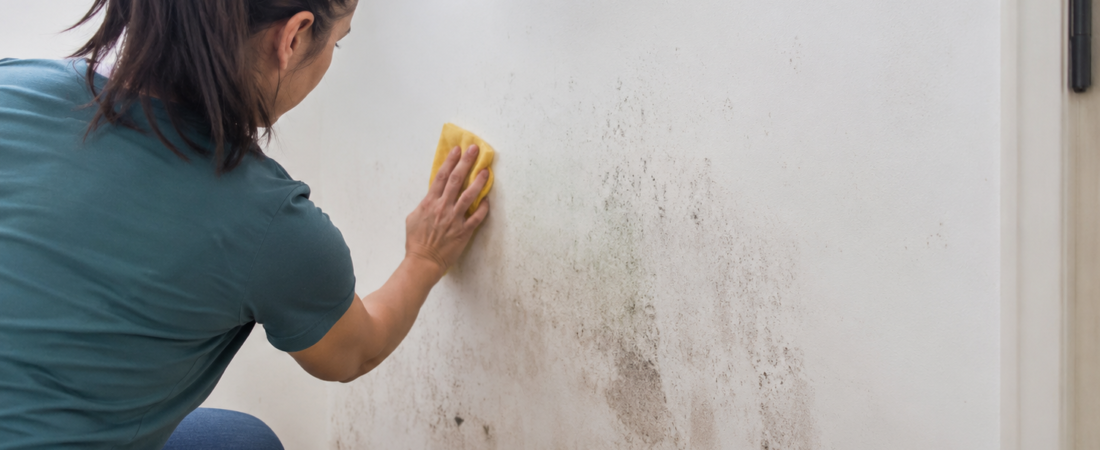 Cómo quitar manchas de humedad en la pared