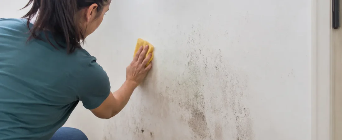 Cómo quitar manchas de humedad en la pared