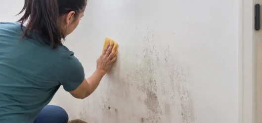 Cómo quitar manchas de humedad en la pared