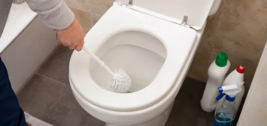 Cómo quitar el sarro del inodoro